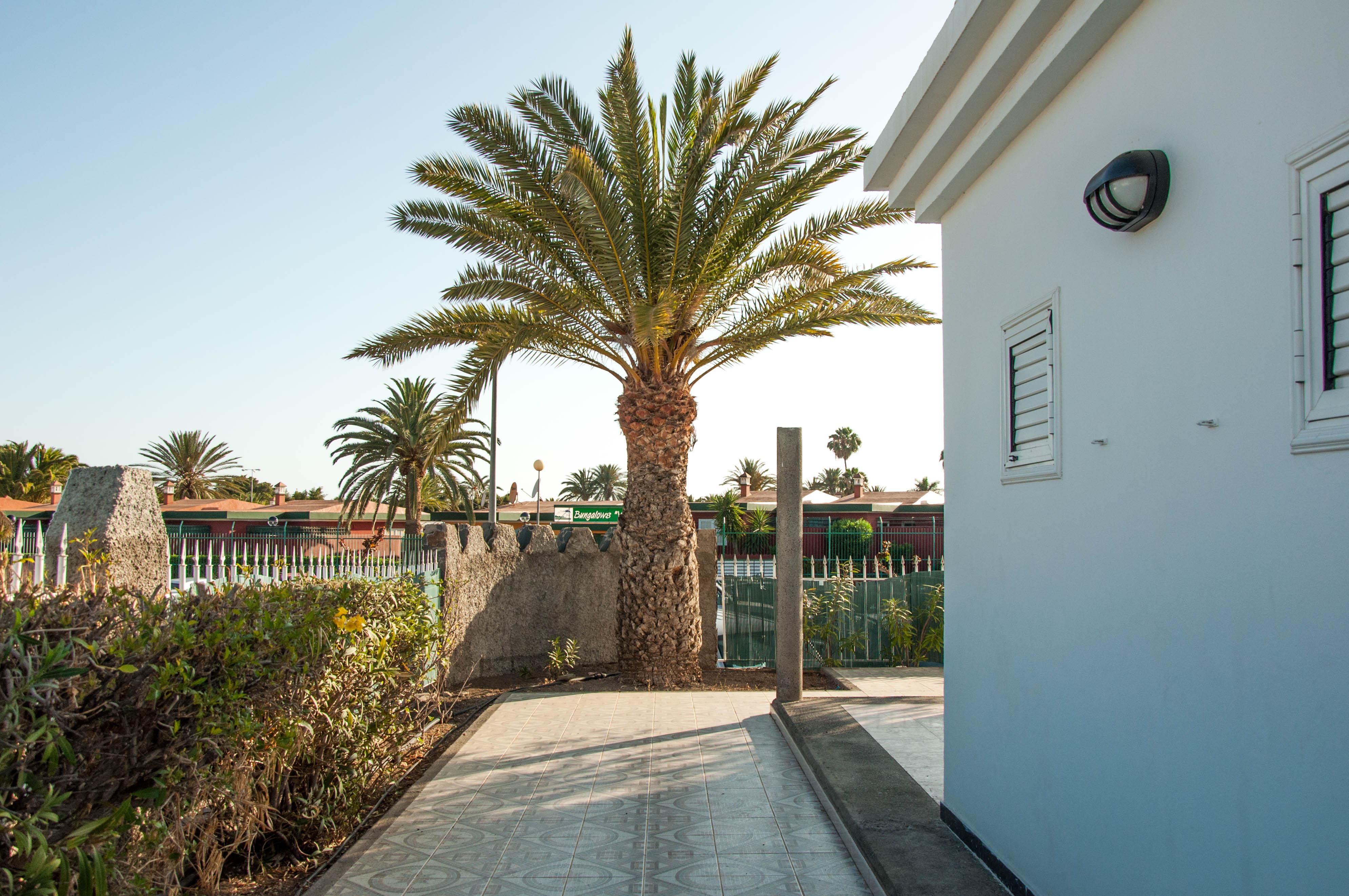 Bungalows Las Almenas Μασπαλόμας Εξωτερικό φωτογραφία