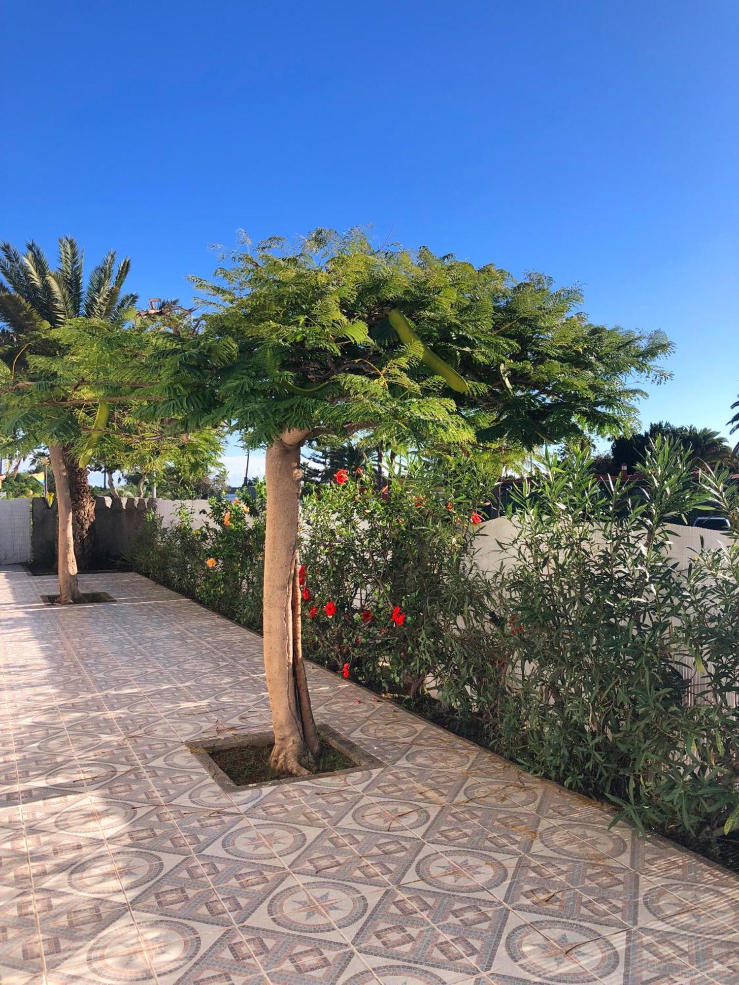 Bungalows Las Almenas Μασπαλόμας Εξωτερικό φωτογραφία