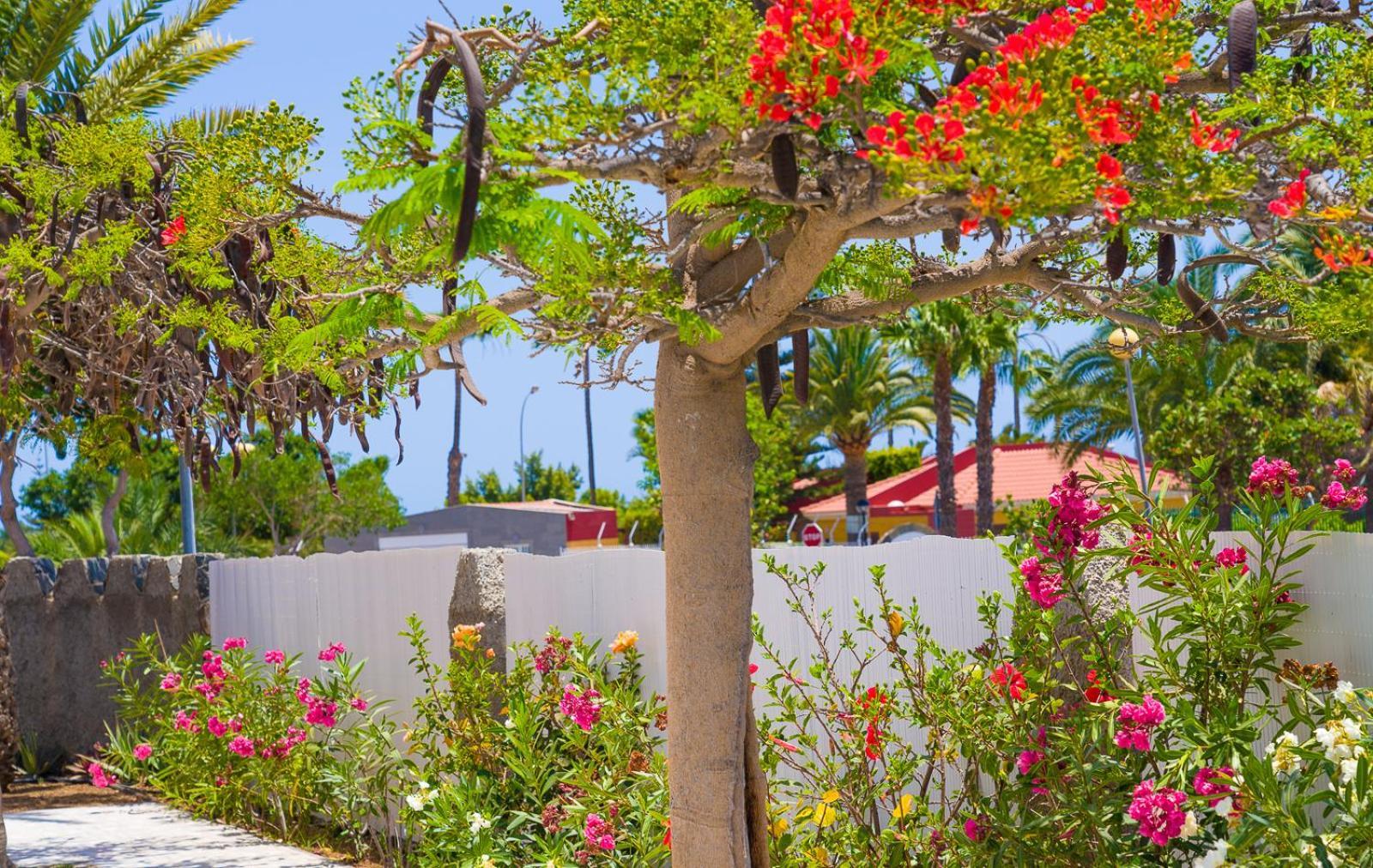 Bungalows Las Almenas Μασπαλόμας Εξωτερικό φωτογραφία