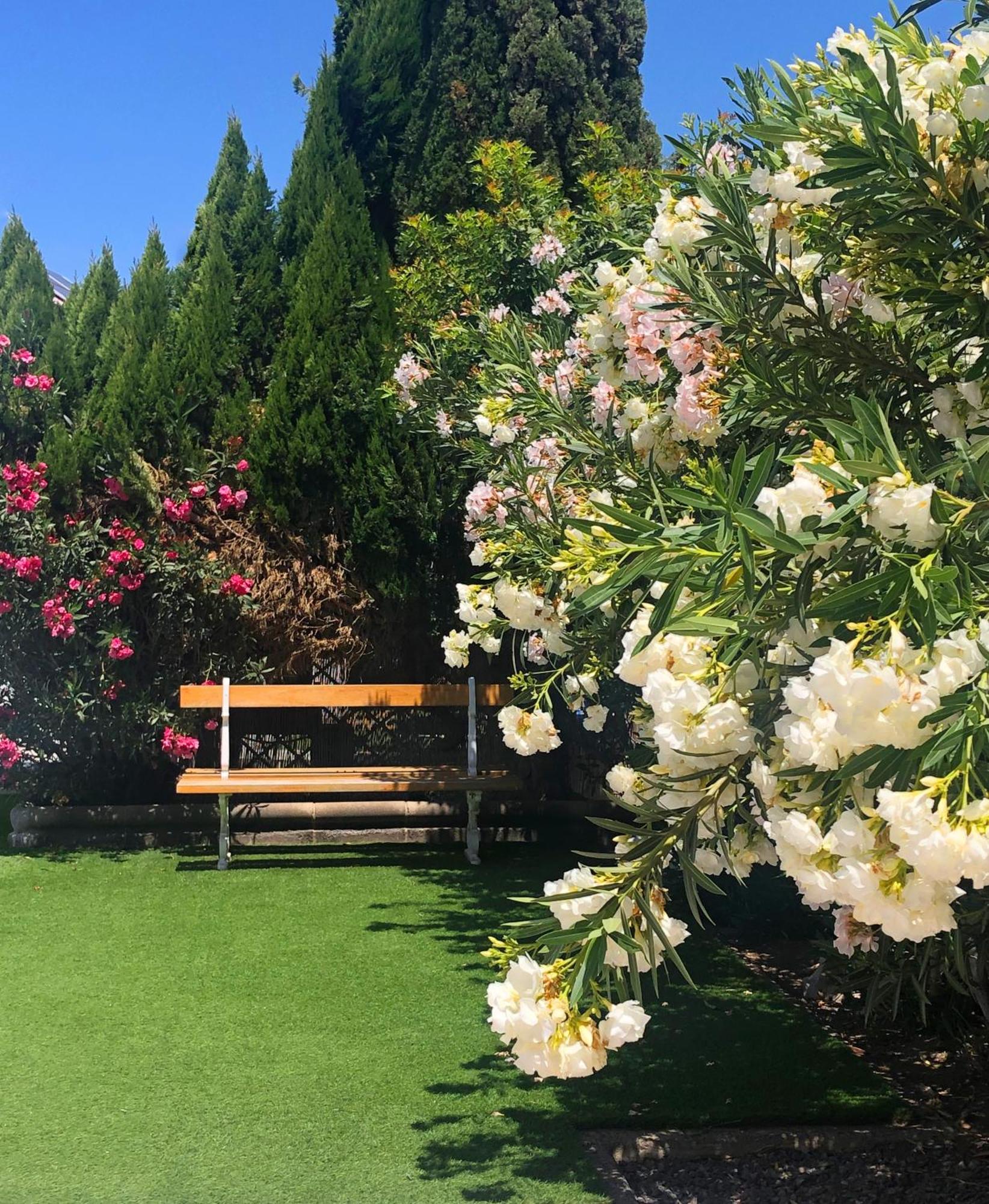 Bungalows Las Almenas Μασπαλόμας Εξωτερικό φωτογραφία